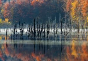 Lake Cuejdel - Romania 3