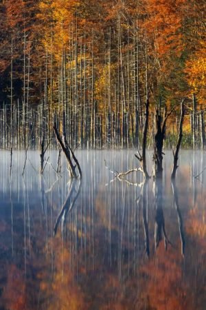 Lake Cuejdel - Romania