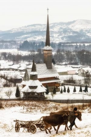 Nea Vasile Marza - Maramures