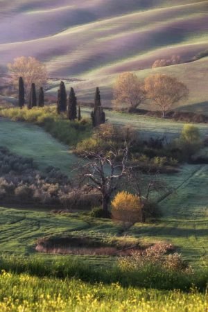 Tuscany 1