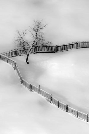 Fence Graphic - Bucovina