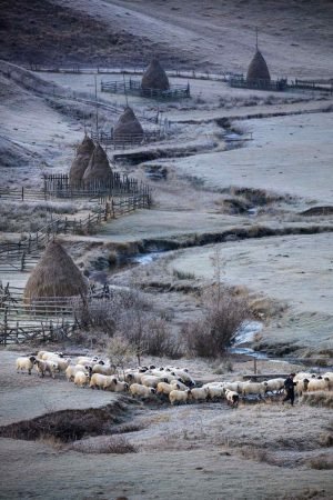 Fundatura Ponorului-2