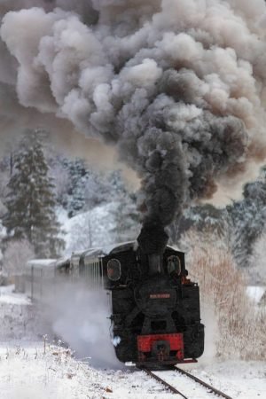 Old Steam Train from Bucovina