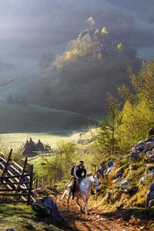 Rider at Heaven's Gate