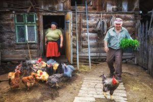 Tanti Elisabeta from Ponicova