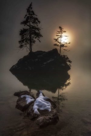 The Death Of The Lonely Soldier