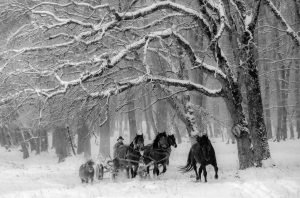 Winter Story in Black & White