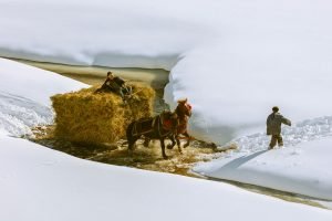 Fundatura Ponorului 12