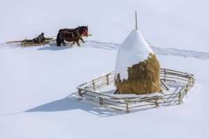 Fundatura Ponorului 13