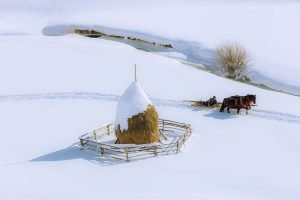 Fundatura Ponorului 14