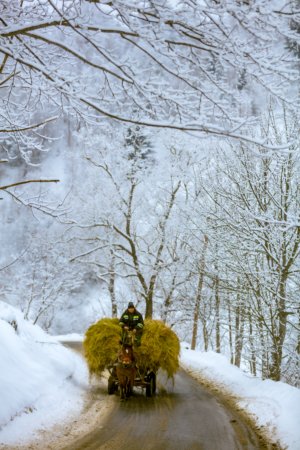 Hard Work in the Wintertime