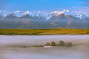 St. Vasile Church Fofeldea