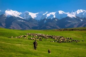 Transylvanian Hills 2