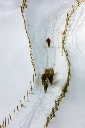 Winter in Fundatura Ponorului